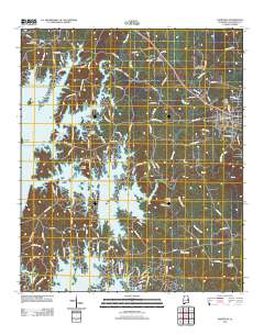 Dadeville 2011 topographic map thumbnail