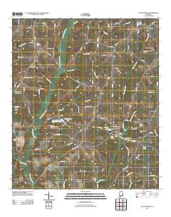 Coffee Springs 2011 topographic map thumbnail