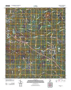Camp Hill 2011 topographic map thumbnail