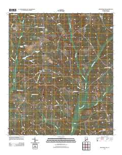 Brundidge NW 2011 topographic map thumbnail