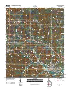 Carbon Hill 2011 topographic map thumbnail