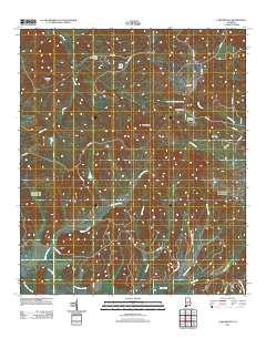 Carlowville 2011 topographic map thumbnail