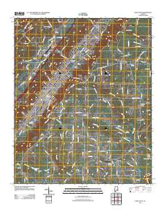 Fort Payne 2011 topographic map thumbnail