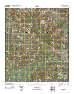 Geneva West 2011 topographic map thumbnail