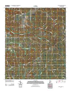Forest Home 2011 topographic map thumbnail