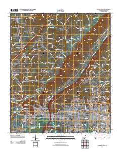 Gadsden West 2011 topographic map thumbnail