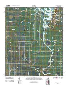 Pickensville 2011 topographic map thumbnail