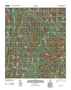 Pigeon Creek 2011 topographic map thumbnail