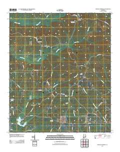 Morgan Springs 2011 topographic map thumbnail