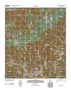 New Brockton 2011 topographic map thumbnail