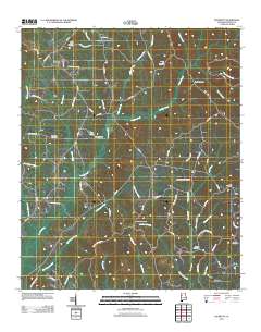 Palmetto 2011 topographic map thumbnail