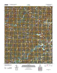 Roanoke West 2011 topographic map thumbnail