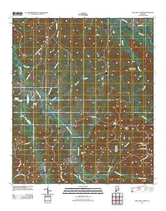 Pine Apple North 2011 topographic map thumbnail