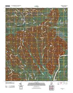 Pine Hill 2011 topographic map thumbnail