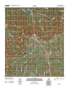 Pine Level 2011 topographic map thumbnail