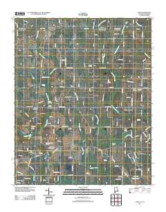 Toney 2011 topographic map thumbnail