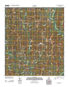 Skipperville 2011 topographic map thumbnail