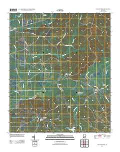 Pleasant Ridge 2011 topographic map thumbnail