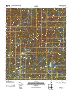 Rockford 2011 topographic map thumbnail