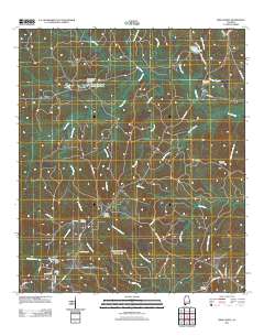 Sims Chapel 2011 topographic map thumbnail