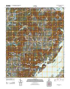 Swearengin 2011 topographic map thumbnail