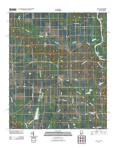 Dancy 2011 topographic map thumbnail