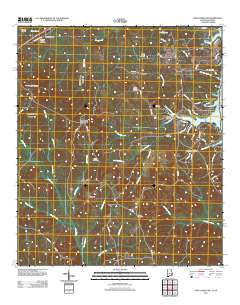 Fort Gaines NW 2011 topographic map thumbnail