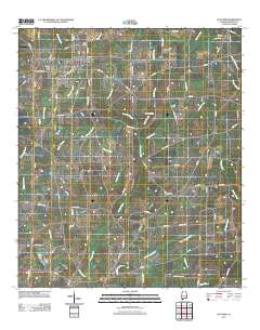Slocomb 2011 topographic map thumbnail