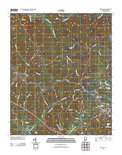 Brilliant 2011 topographic map thumbnail