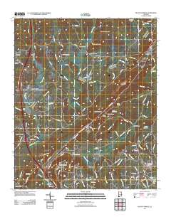 Blount Springs 2011 topographic map thumbnail