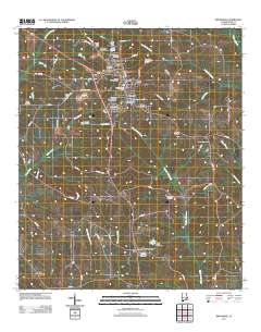 Brundidge 2011 topographic map thumbnail