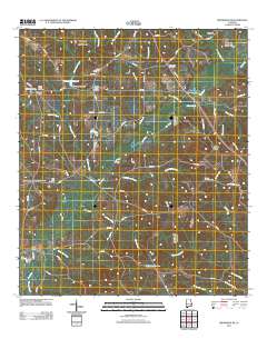 Brundidge SE 2011 topographic map thumbnail