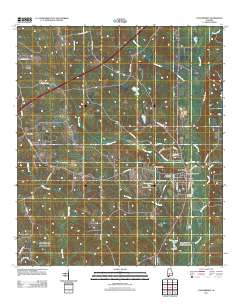 Castleberry 2011 topographic map thumbnail