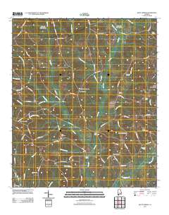 Bluff Springs 2011 topographic map thumbnail
