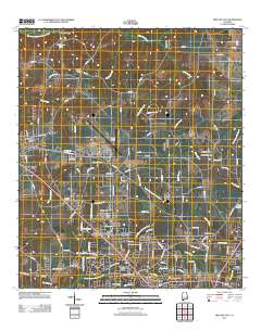 Midland City 2011 topographic map thumbnail