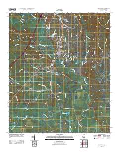 Livingston 2011 topographic map thumbnail