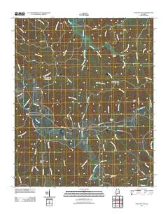 Pleasant Site 2011 topographic map thumbnail