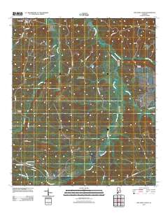Pine Apple South 2011 topographic map thumbnail