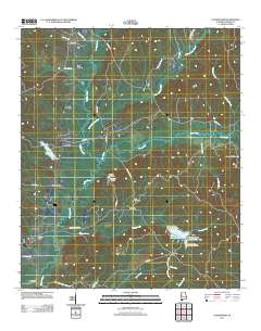 Cunningham 2011 topographic map thumbnail
