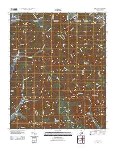 King Cove 2011 topographic map thumbnail