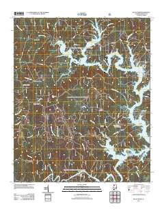 Black Pond 2011 topographic map thumbnail