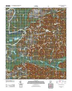 Englewood 2011 topographic map thumbnail