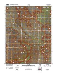 Big Point 2011 topographic map thumbnail