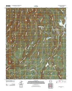 Bonito Rock 2011 topographic map thumbnail