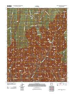 Bright Angel Point 2011 topographic map thumbnail