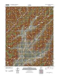 Burnt Corn Spring 2011 topographic map thumbnail