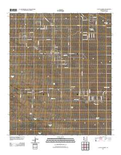 Cactus Forest 2011 topographic map thumbnail