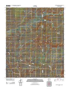 Carrisito Spring 2011 topographic map thumbnail
