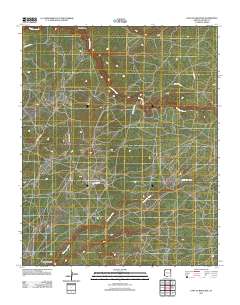 East of Kinlichee 2011 topographic map thumbnail