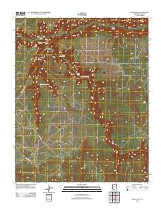 Spider Rock 2011 topographic map thumbnail
